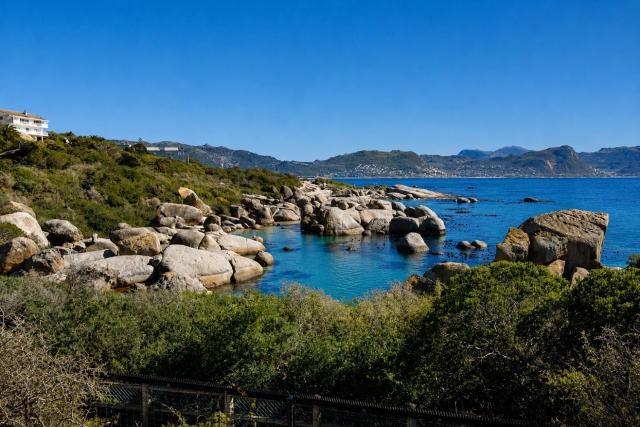 Bosky Dell on Boulders Beach