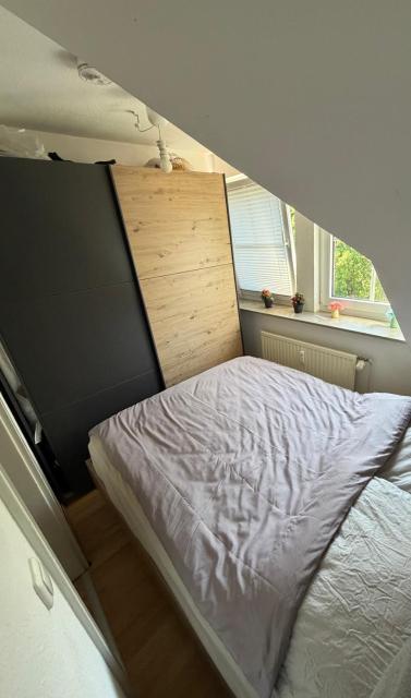 Modernes gemütliches Studio Zimmer