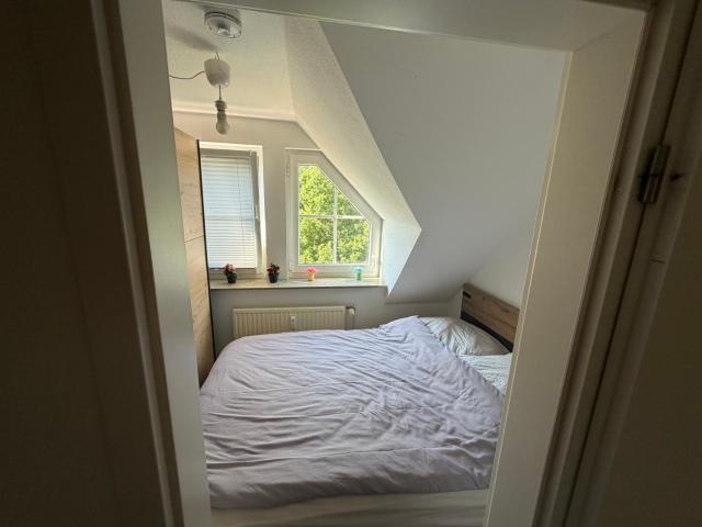 Modernes gemütliches Studio Zimmer