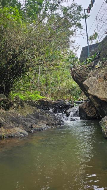 Bambooleaf pool dormitory