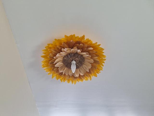 Evasion Bali - Appartement Cosy & Ambiance Zen
