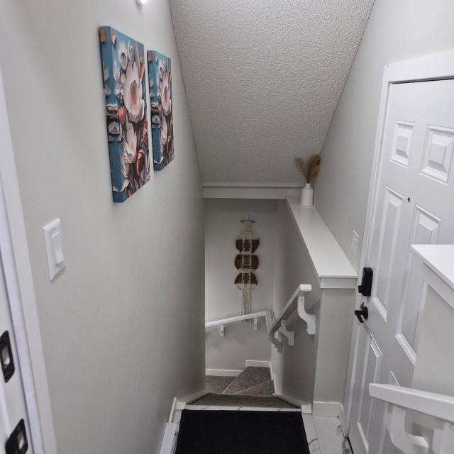 Tammy's Apartment
