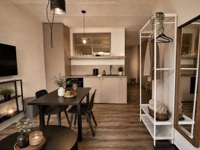 FARSKA STUDIO BY SELECTED PROPERTIES - in the heart of Nitra