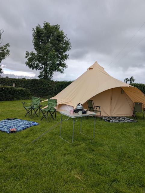 Hal`s at Killynick