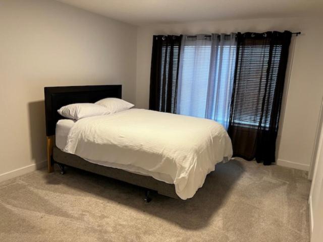 Lakeview Oasis