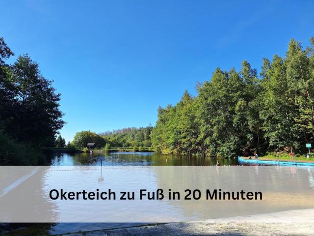Hexenzauber Altenau an der Therme