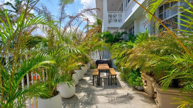 Comfy 1-Bedroom Retreat - Steps from Miami Beach