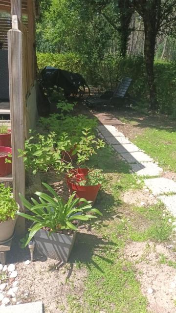 MH410 Belle vue sur la forêt, 3 chambres dont suite parentale et 2 sdb dans camping 4 étoiles