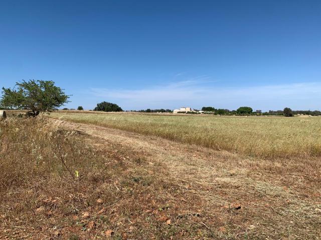 Masseria Castelluzzo