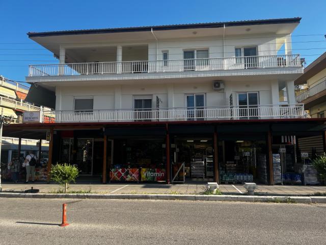 Eleni Studio