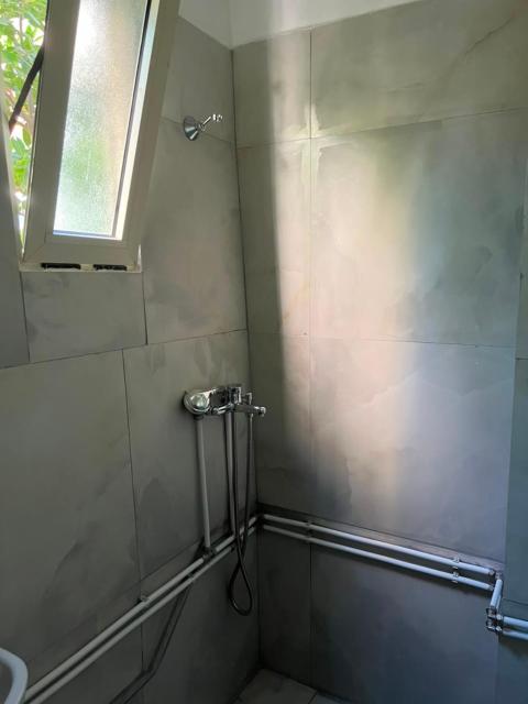 Mandarine hostel