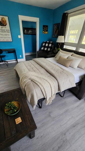 Cozy One Bedoom apartment