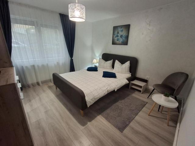 Criss Apartament Central