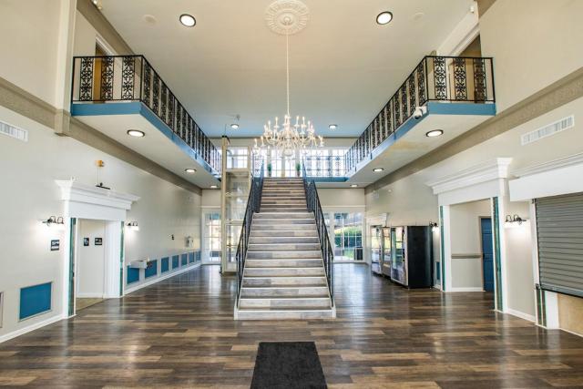 Relaxing Apartment MINS from Local parks and Hospitals, 2410