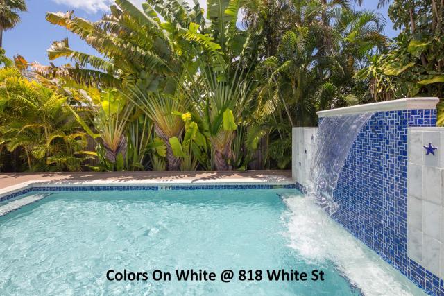 Colors on White