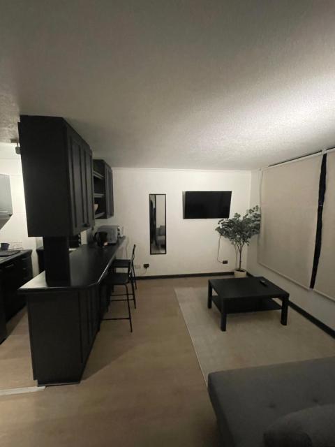 Beautiful & Cozy Apartment -Best Location Downtown