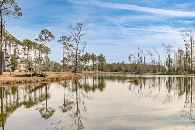 Pond View, Fishing, BBQ, Fireplace, and More