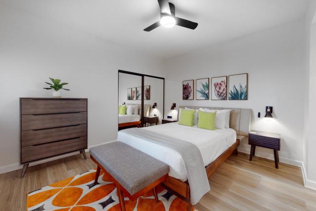 Oasis Harmony - 58722