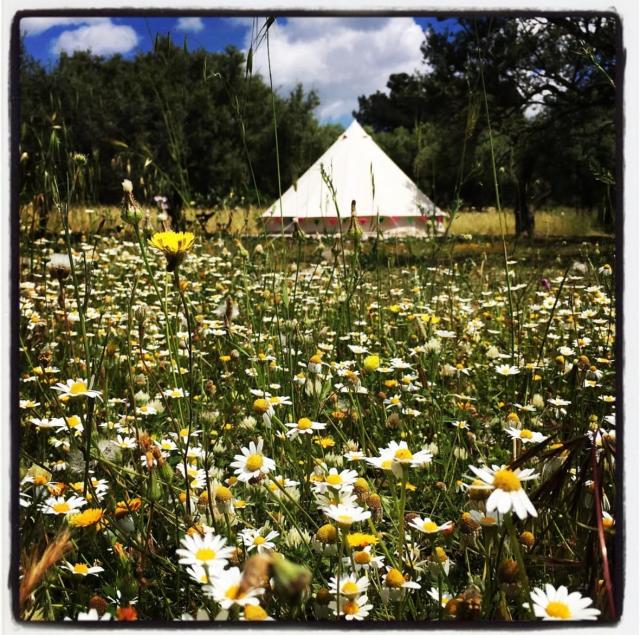 Carrubbella glamping & country village