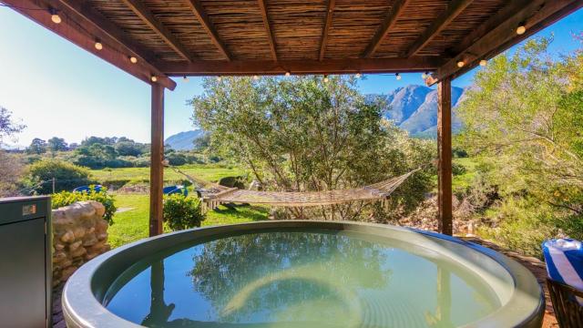 Mountain Cabin private hot tub and swimming pool