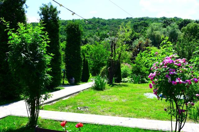 La Domeniu B&B