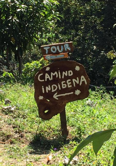 Finca San Rafael - Cafe y Cacao