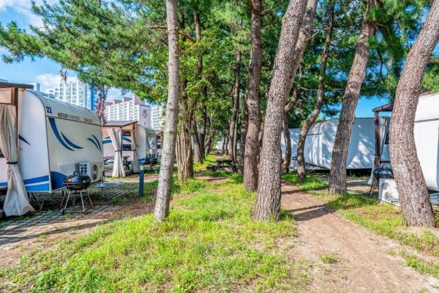 Solhyang Gangneung Caravan Campsite