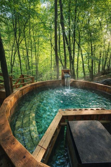 Cabana Manea Forest Hub