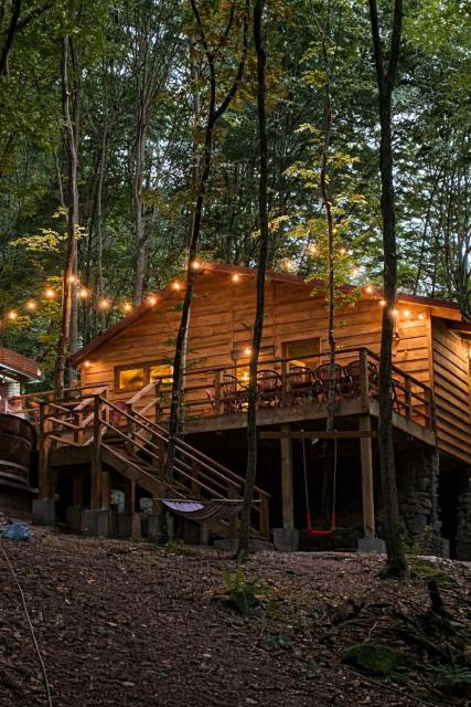 Cabana Manea Forest Hub
