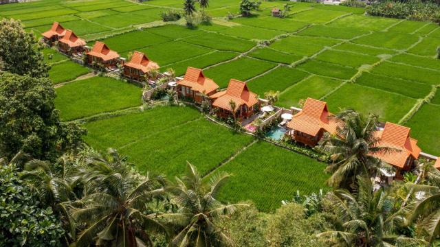 Ubud Wooden Pool Villa with Floating Breakfast