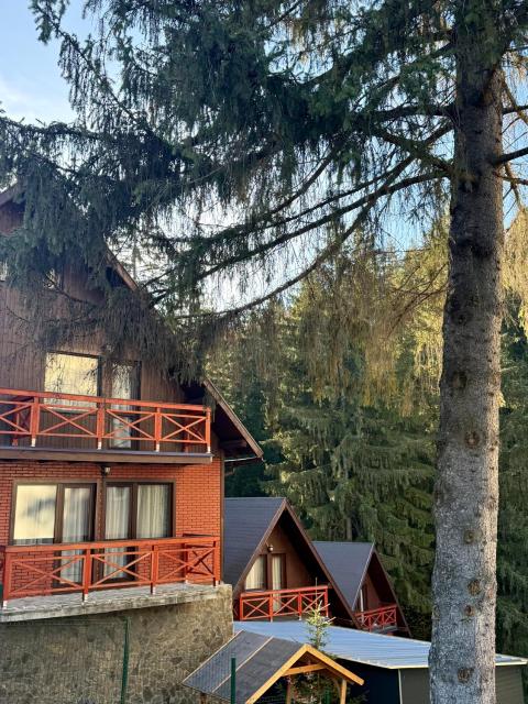 Vila Casa Familiei Poiana Braşov