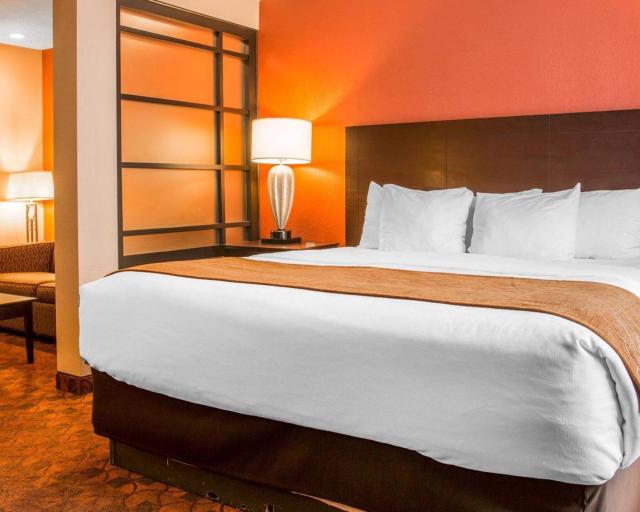 Comfort Inn & Suites and Conference Center