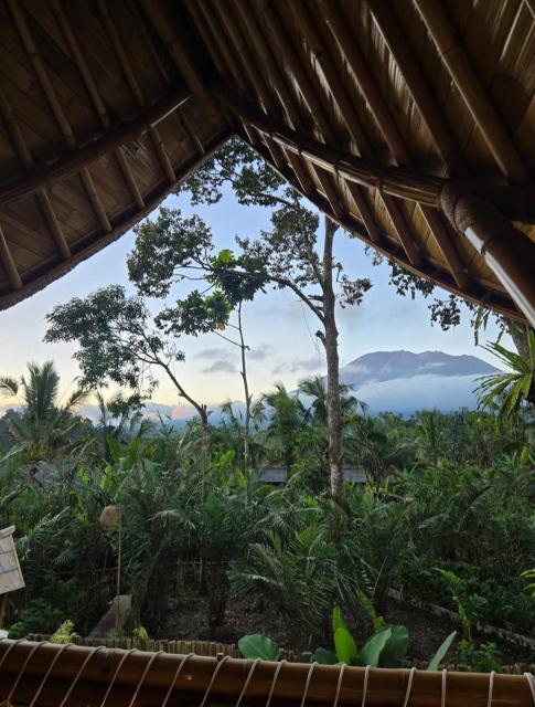 Raka Rai Bamboo Villa - Private Pool with Mount Agung View