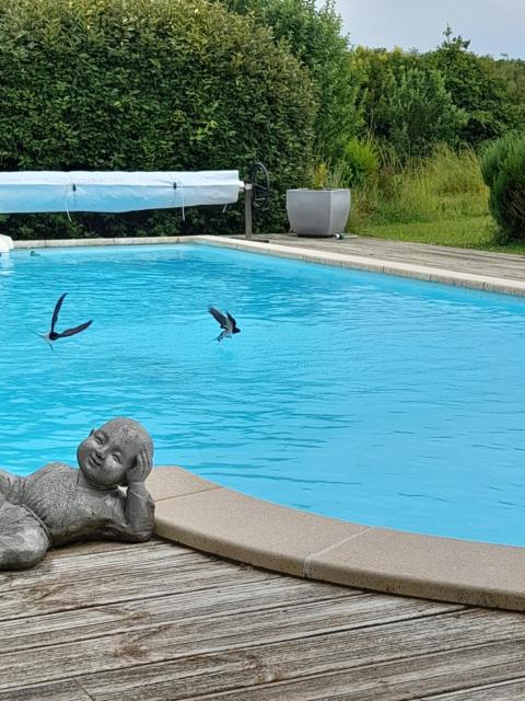Domaine des Anges