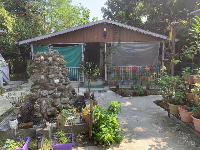 Mangifera Cabin in Kanchanrup
