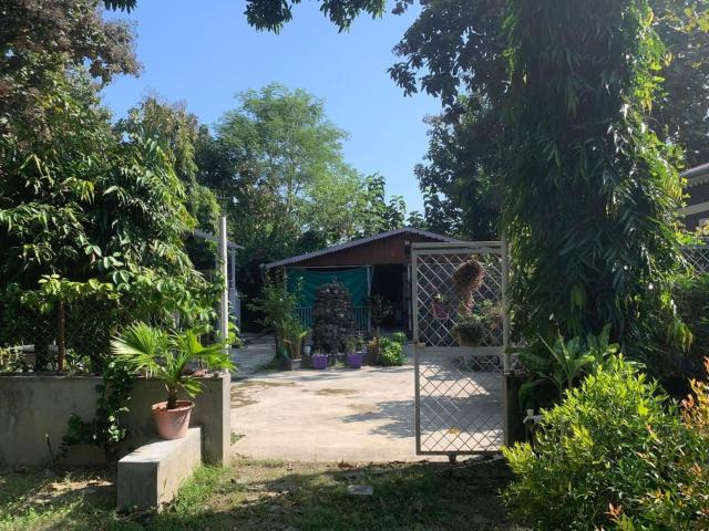 Mangifera Cabin in Kanchanrup