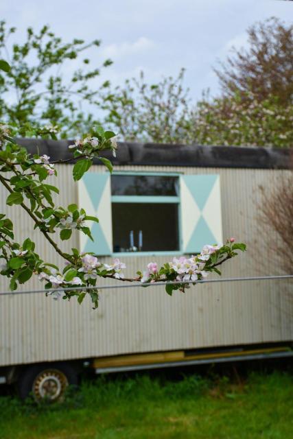 Bed & Bloemen