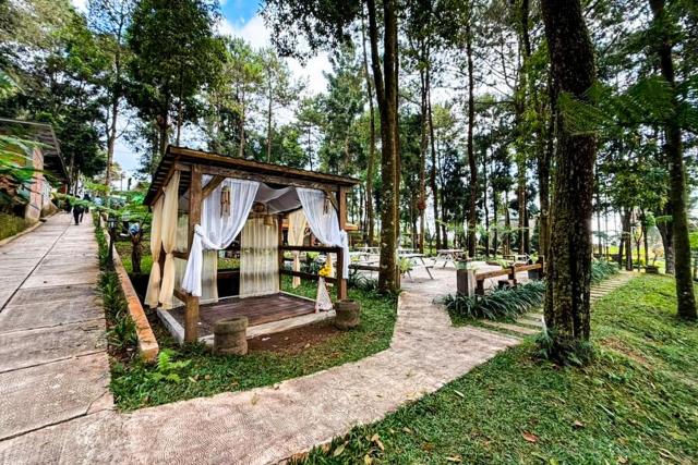 Tenggir Park Cottage and Glamping Tawangmangu