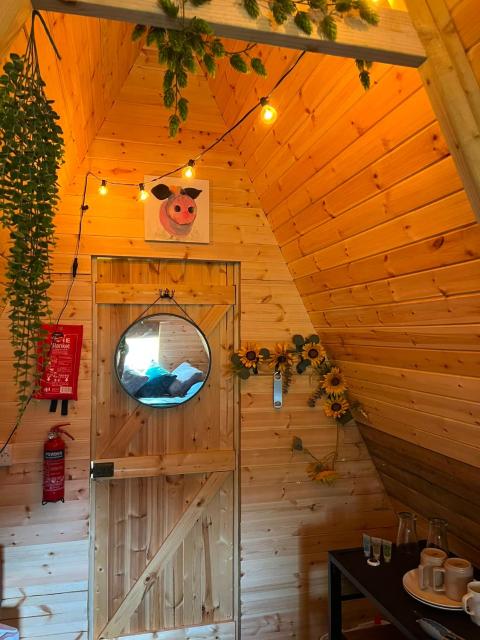 Medway wharf marina glamping nest
