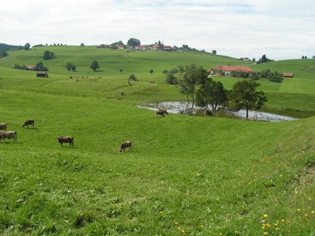 Pension Mittelallgäu