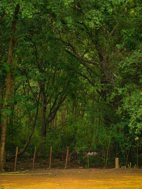 EMERALD HAVEN Safari Glamping