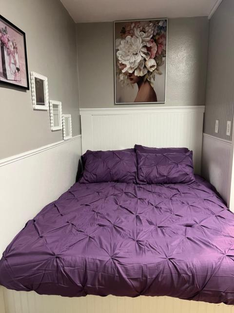 Taylor's Cozy Little Apartment Pets Welcome Two Beds