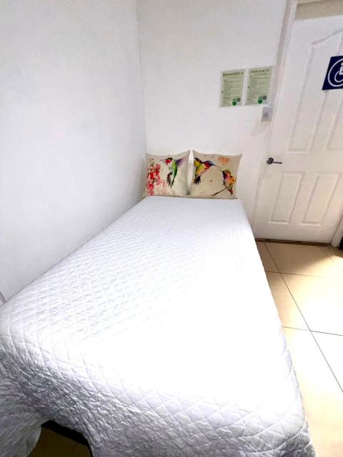 Hotel Boutique CasAguacate close to Airport, Pedregal, Centro de Convenciones de Costa Rica
