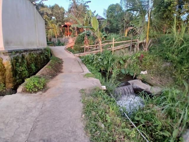 one homestay cabin