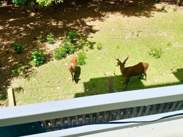 Deerland View Escape with Pool, 2BedRoom Apartment