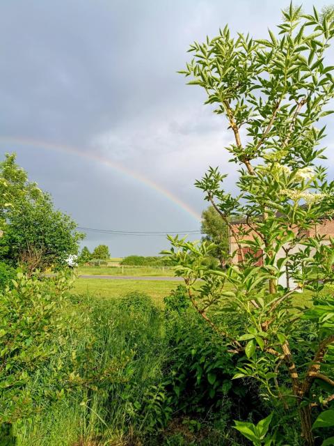 Ferien am Schloss - Wohnung 1 "das Pferd", Ferienwohnung am Badesee