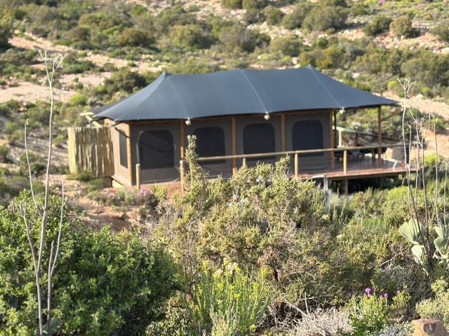 Oudemuur Glamping