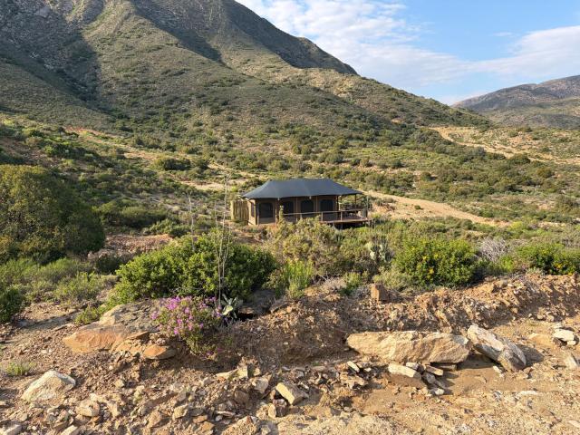 Oudemuur Glamping