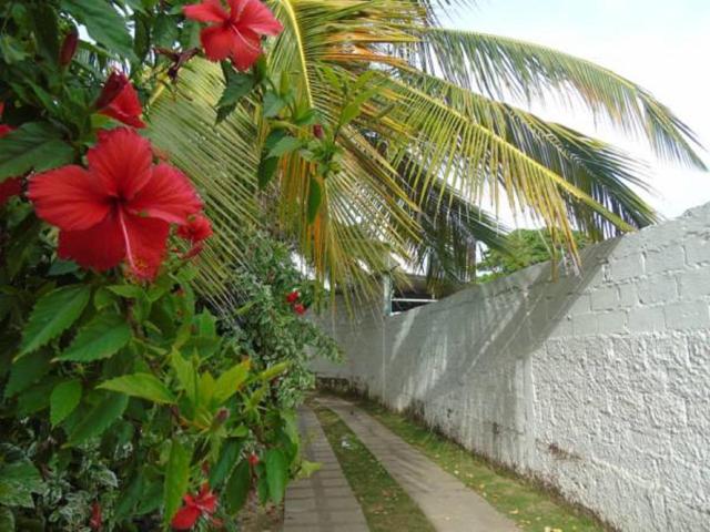 Villa San Miguel