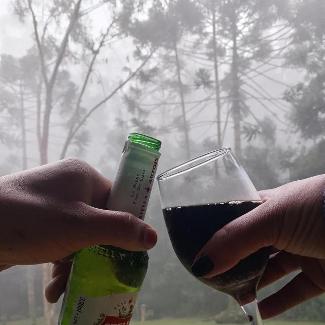 Chalé beija flor